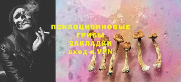 дмт Инсар