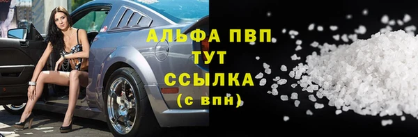 дмт Инсар