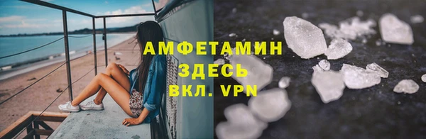 spice Инта