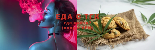 spice Инта