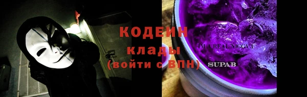 дмт Инсар