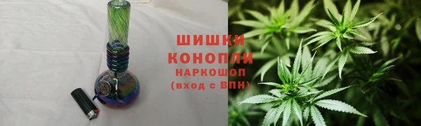 дмт Инсар