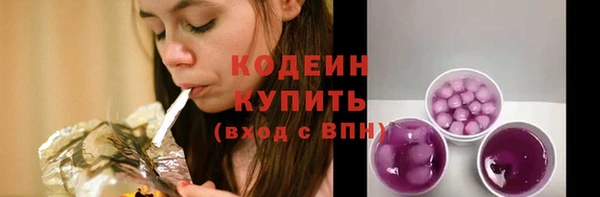 дмт Инсар
