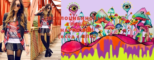 spice Инта