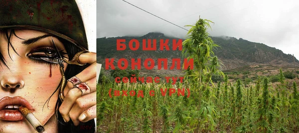 spice Инта
