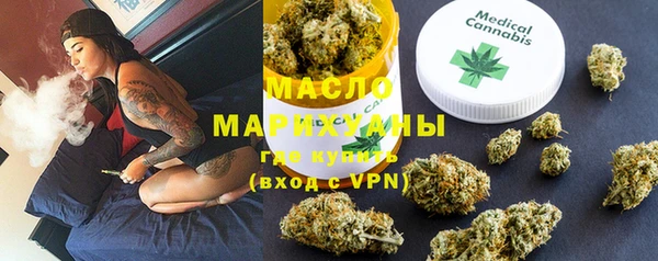 spice Инта