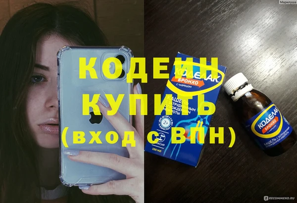 spice Инта