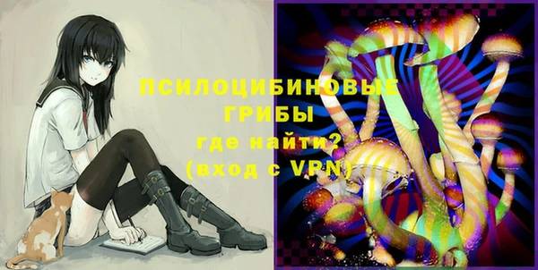 дмт Инсар