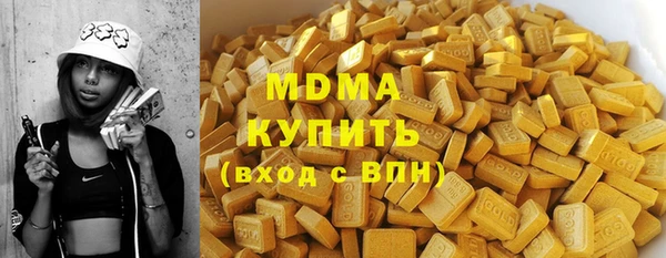 spice Инта