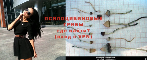 дмт Инсар