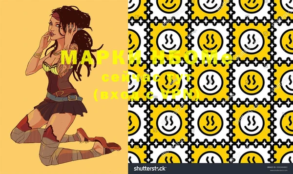 spice Инта