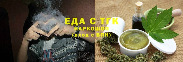 spice Инта